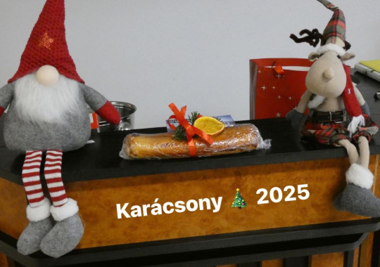 Ünnepi hangulatú asztalterítéseink